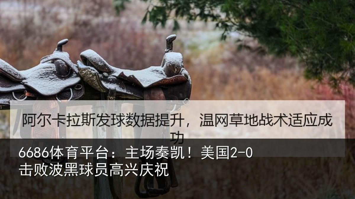 6686体育平台：主场奏凯！美国2-0击败波黑球员高兴庆祝